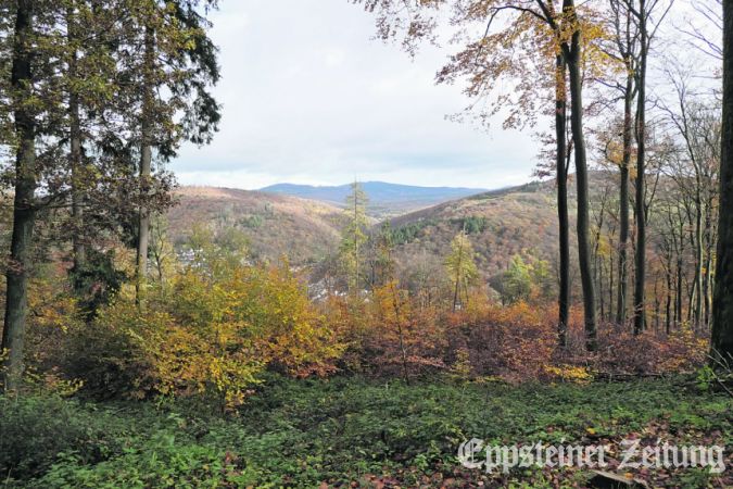 Blick vom „Kippel“ über die Wälder bei Ehlhalten.Foto: Beate Schuchard-Palmert