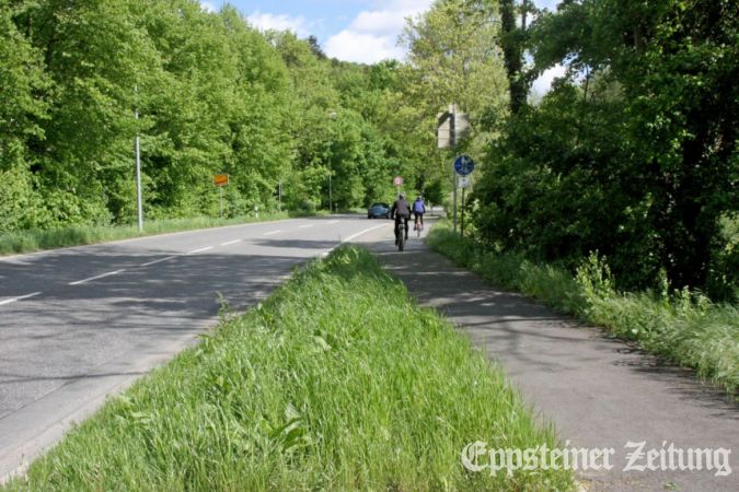 Radweg an der B455 nach Fischbach.Foto: EZ